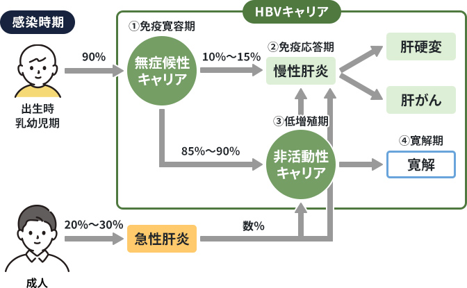 B型肝炎ウイルスキャリアの経過