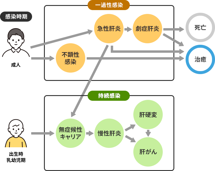 Ｂ型肝炎給付金の受給対象となる方