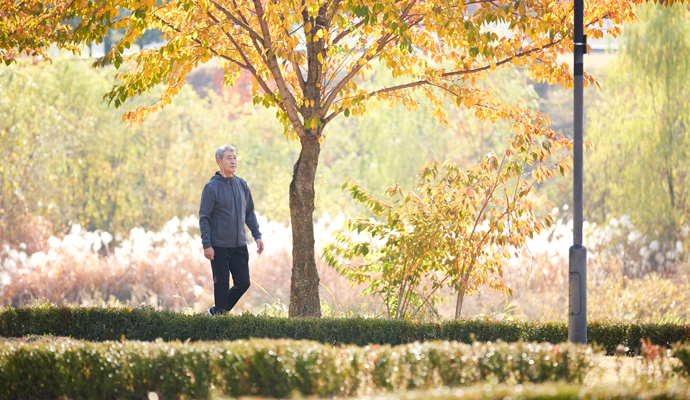 ７０代の男性が健康管理をし、平穏な暮らしを続けるイメージ画像