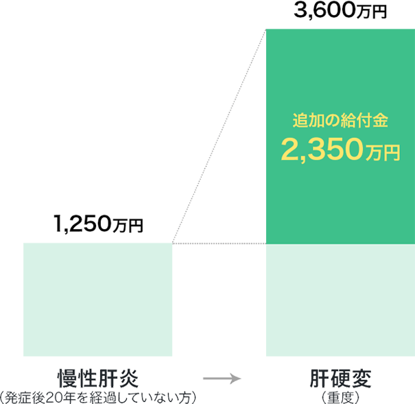 慢性肝炎(発症後20年を経過していない方)→肝硬変(重度)